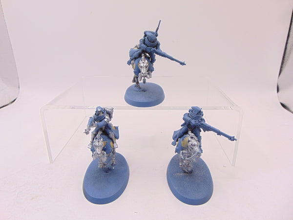 Serberys Raiders
