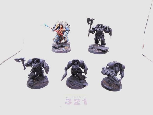 Wolf Guard Terminators