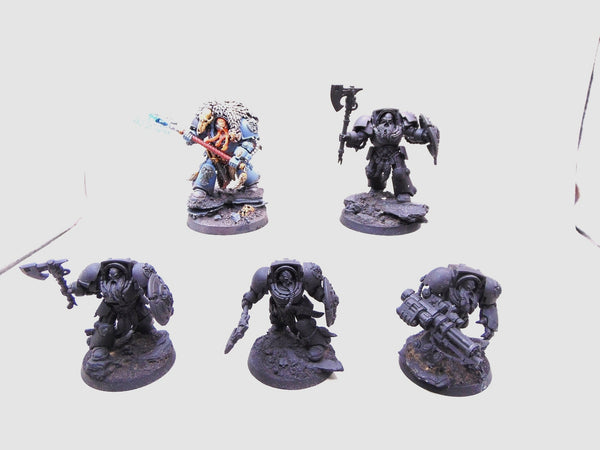 Wolf Guard Terminators