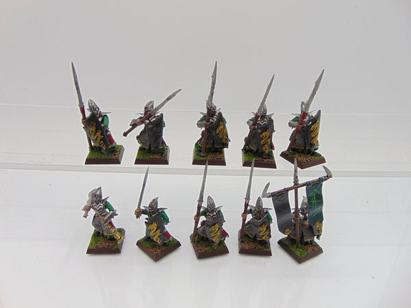 Darf Elf Warriors / Spearmen