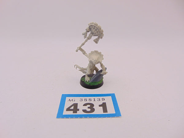 Skink Oracle