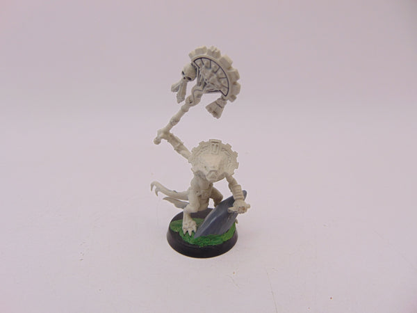 Skink Oracle