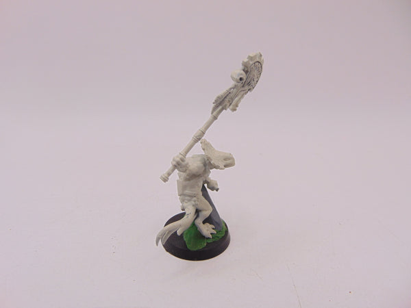 Skink Oracle
