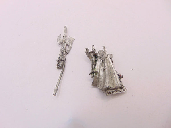 Caradryan Captain of the Phoenix Guard