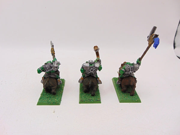 Orc Boar Boyz Command
