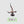 Warlord Verminkin