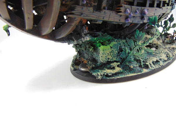 Black Coach Conversion