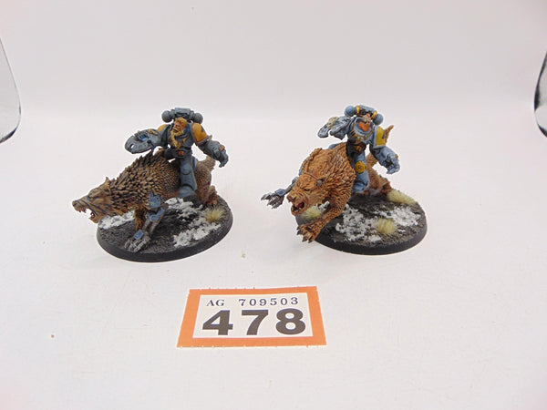 Thunderwolf Cavalry