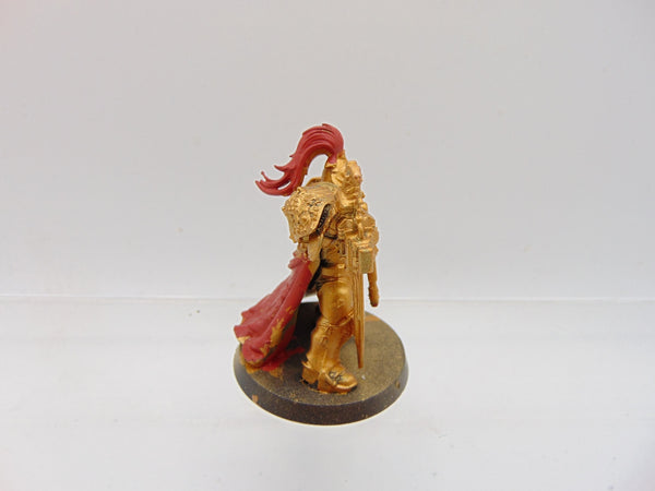 Custodian Guard Shield Captain