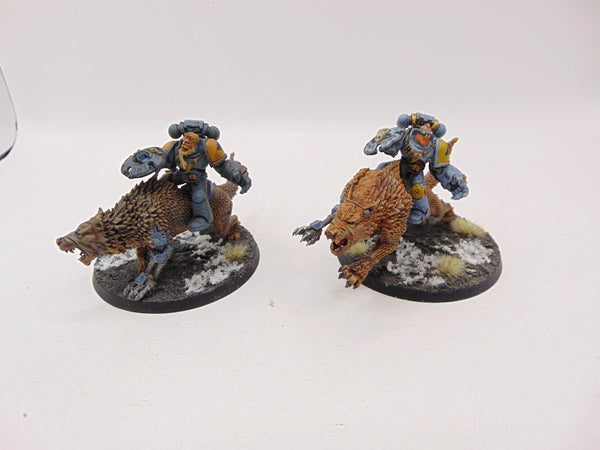 Thunderwolf Cavalry
