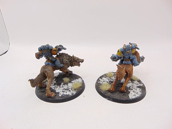 Thunderwolf Cavalry