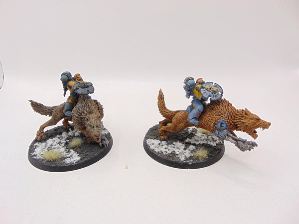 Thunderwolf Cavalry
