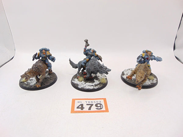 Thunderwolf Cavalry