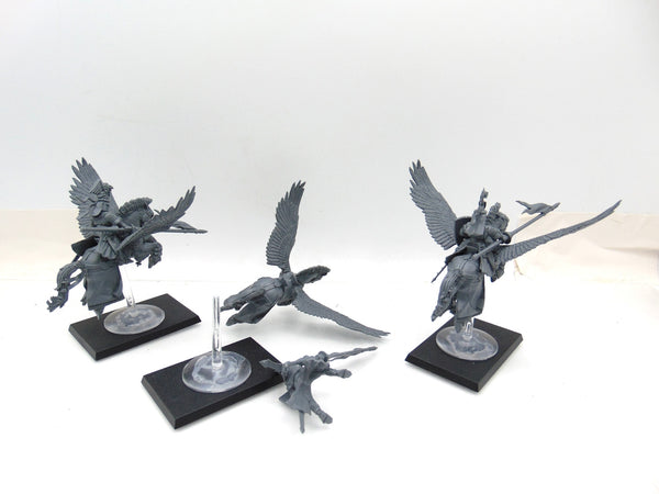 Pegasus Knights