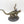 Carnosaur