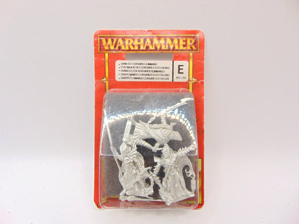 Dark Elf Corsairs Command