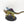 Skink Oracle on Troglodon