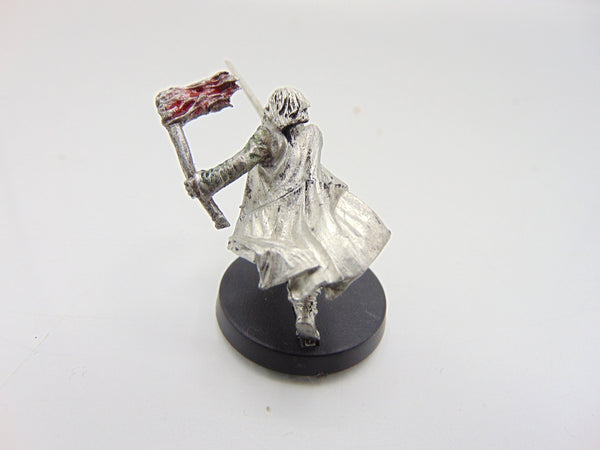 Aragorn Weathertop