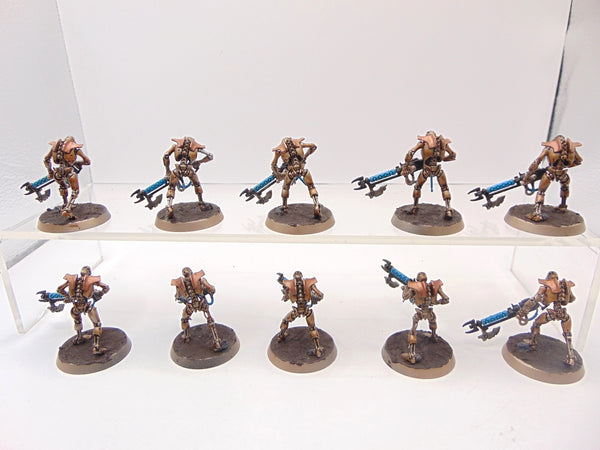Necron Warriors