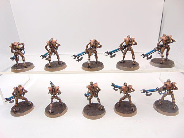 Necron Warriors