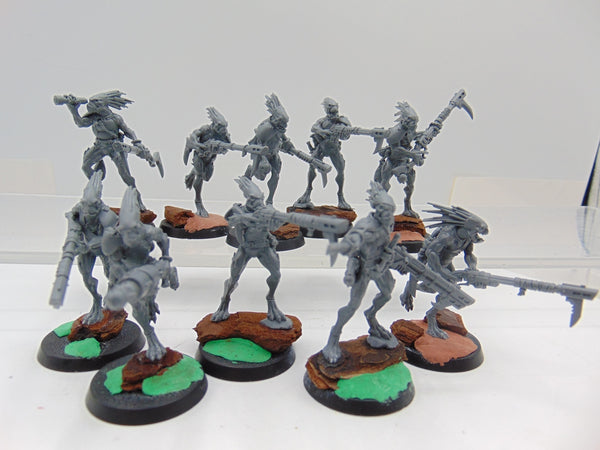 Kroot Carnivores