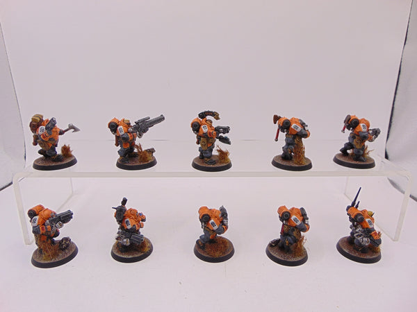 Hearthkyn Warriors
