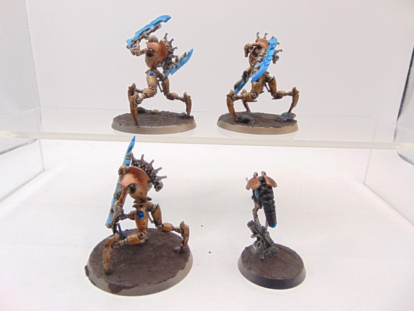 Skorpekh Destroyers