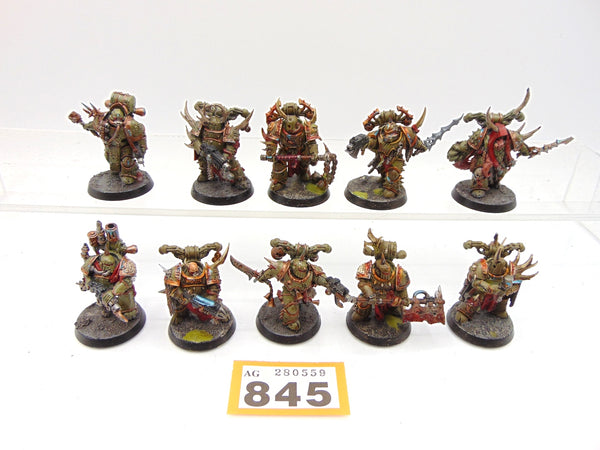 Plague Marines and Champion