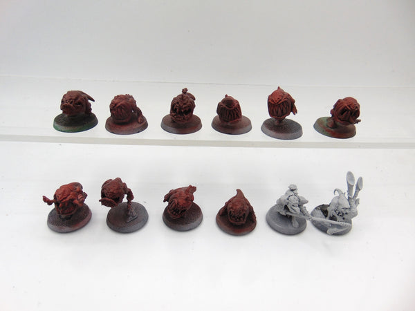Squig Herd