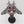 Corvus Blackstar