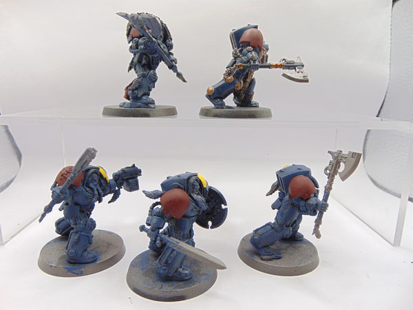 Wolf Guard Terminators