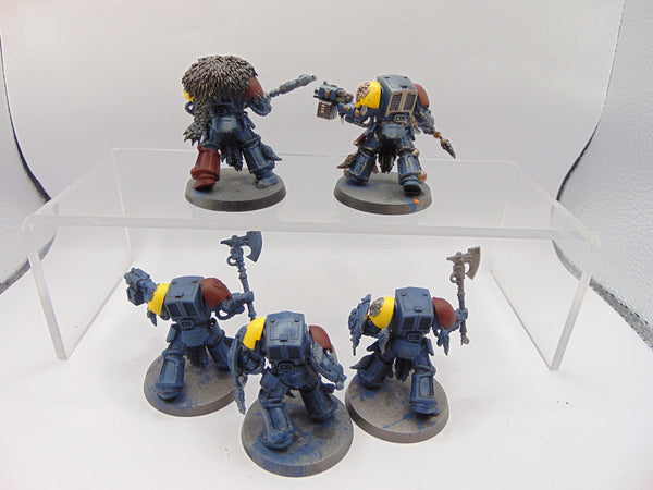 Wolf Guard Terminators