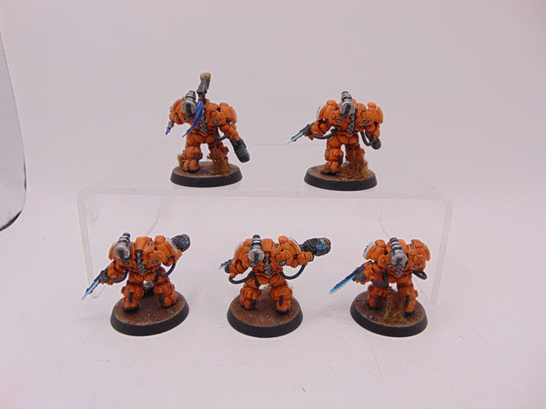 Einhyr Hearthguard