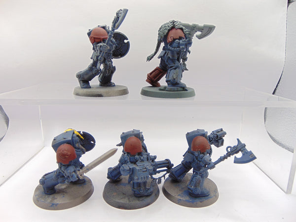 Wolf Guard Terminators