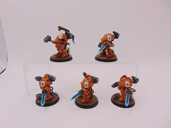 Einhyr Hearthguard