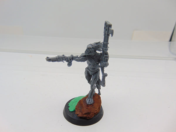 Kroot Carnivore