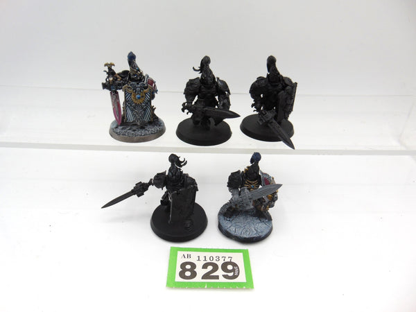 Custodian Guard