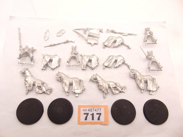 Swan Knights of Dol Amroth