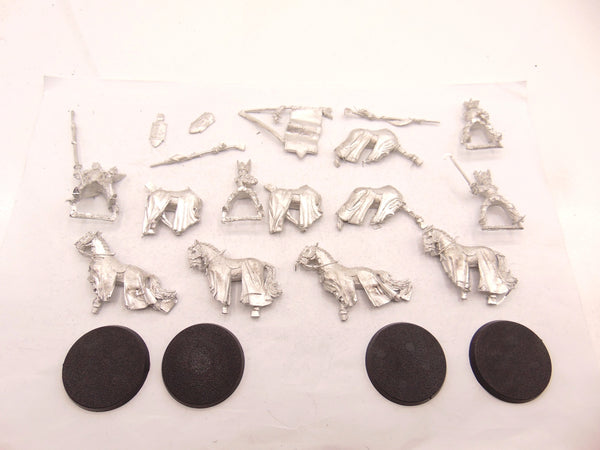 Swan Knights of Dol Amroth