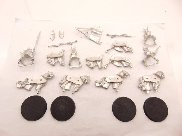 Swan Knights of Dol Amroth