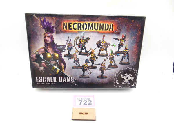 Escher Gang