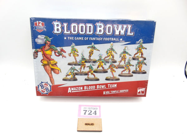 Amazon Blood Bowl Team