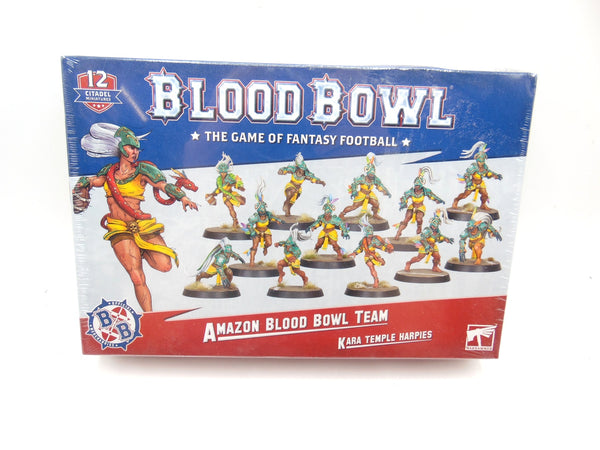 Amazon Blood Bowl Team