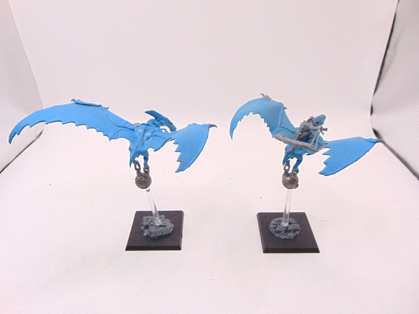 Terradon Riders