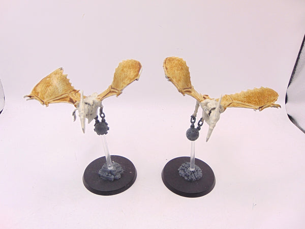 Terradon Riders