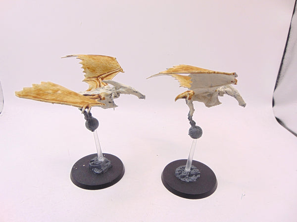 Terradon Riders