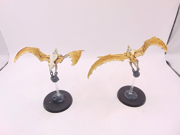 Terradon Riders
