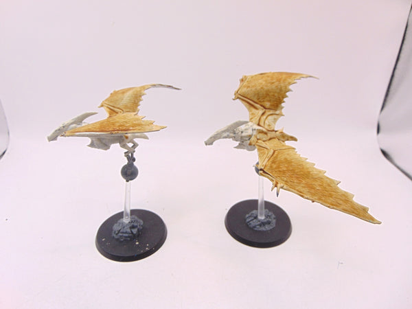 Terradon Riders