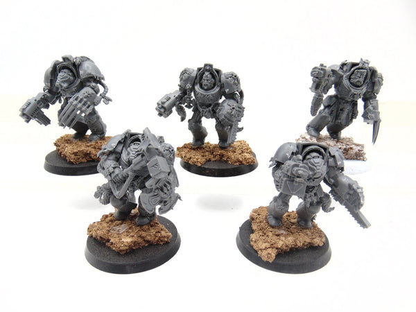 Wolf Guard Terminators