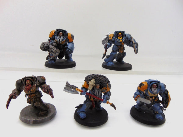 Wolf Guard Terminators